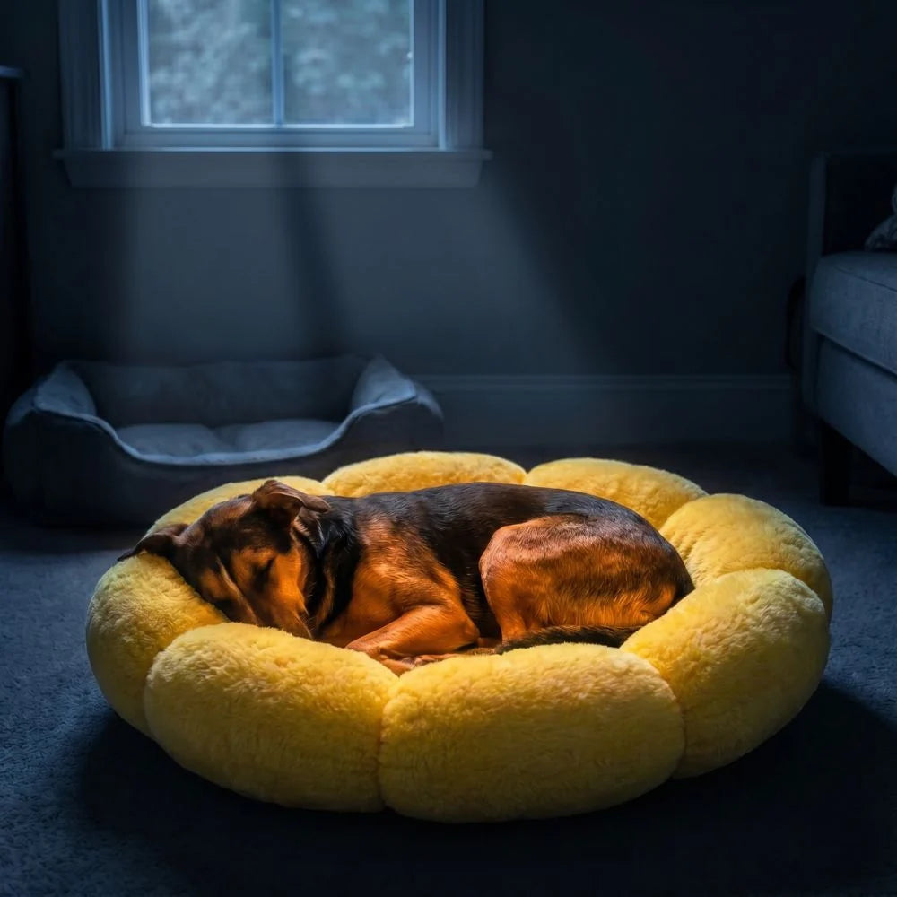 Emotional Support Dog Bed