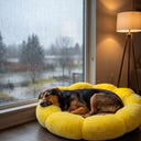 Emotional Support Dog Bed