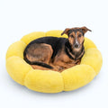 Emotional Support Dog Bed