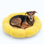 Emotional Support Dog Bed