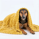 Emotional Support Blanket for dogs